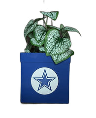 New Exclusive Planter