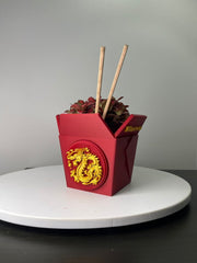 Dragon Planter for Home, Office, Living Room, Kitchen