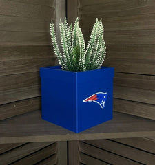 Decorative Planter with Sports Team Design