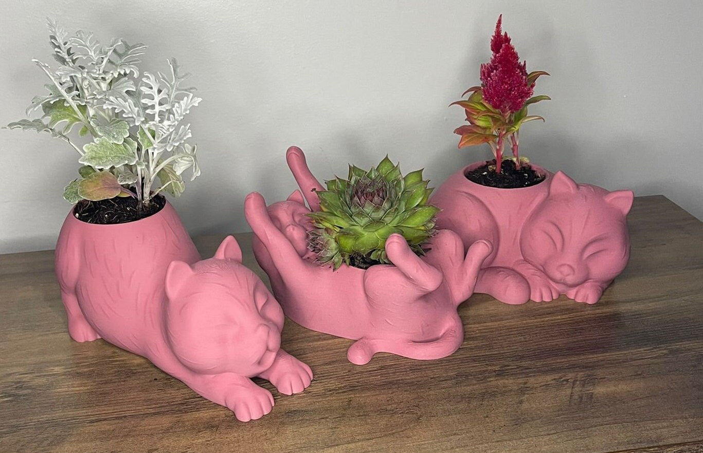 Decorative Cat-Shaped Pots for Succulent Plants – Set of 3 Decorative Cat-Shaped Pots for Succulent Plants – Set of 3