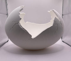 Succulent Arrangement in Cracked Egg Planter – Modern and Elegant Style