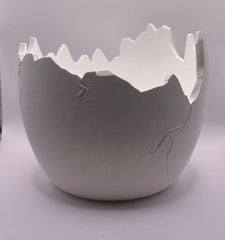 Succulent Arrangement in Cracked Egg Planter – Modern and Elegant Style