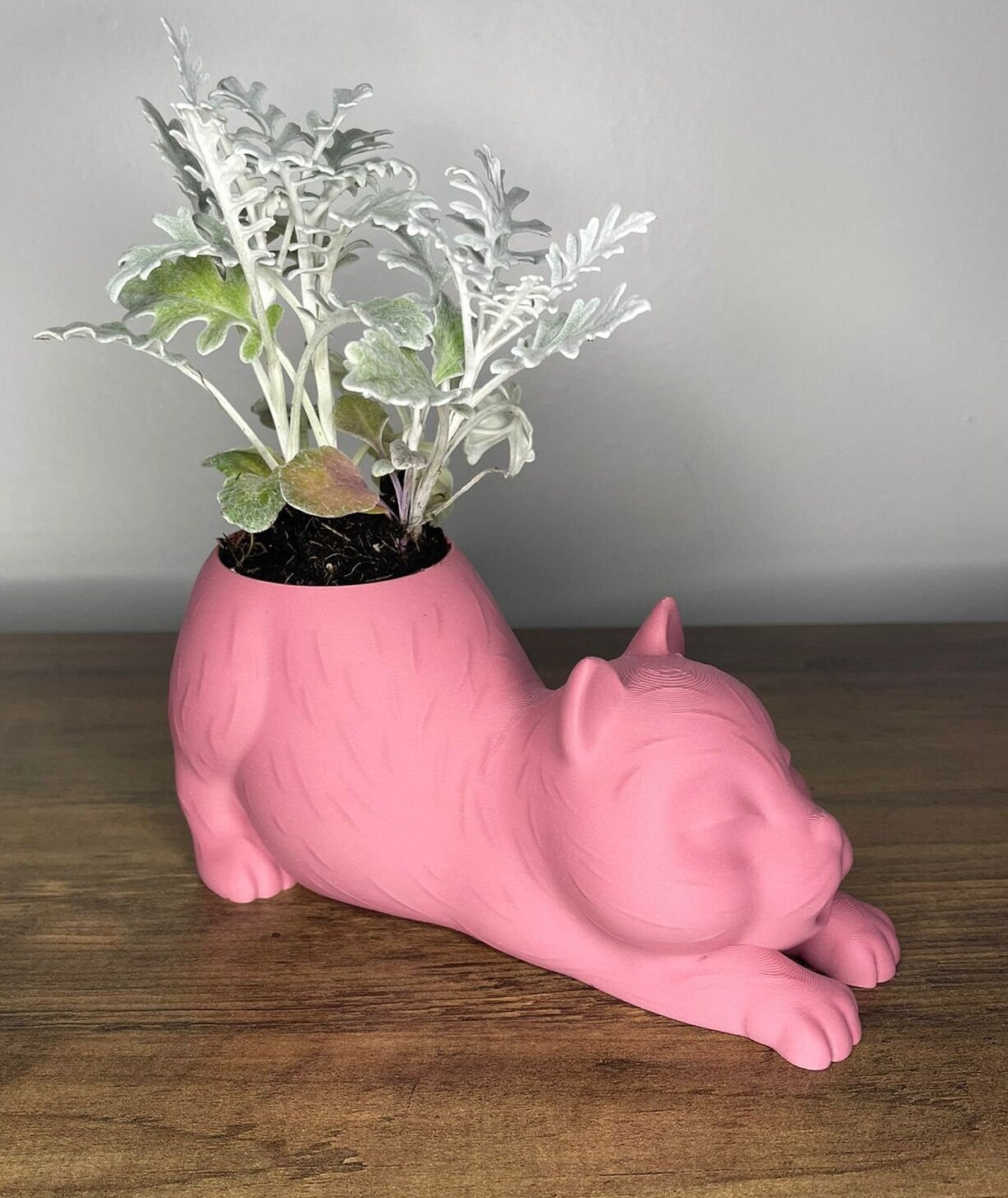 Decorative Cat-Shaped Pots for Succulent Plants – Set of 3 Decorative Cat-Shaped Pots for Succulent Plants – Set of 3