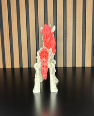 Skeleton Figure Set: Unicorn and Mystical Creatures - Exclusive Design
