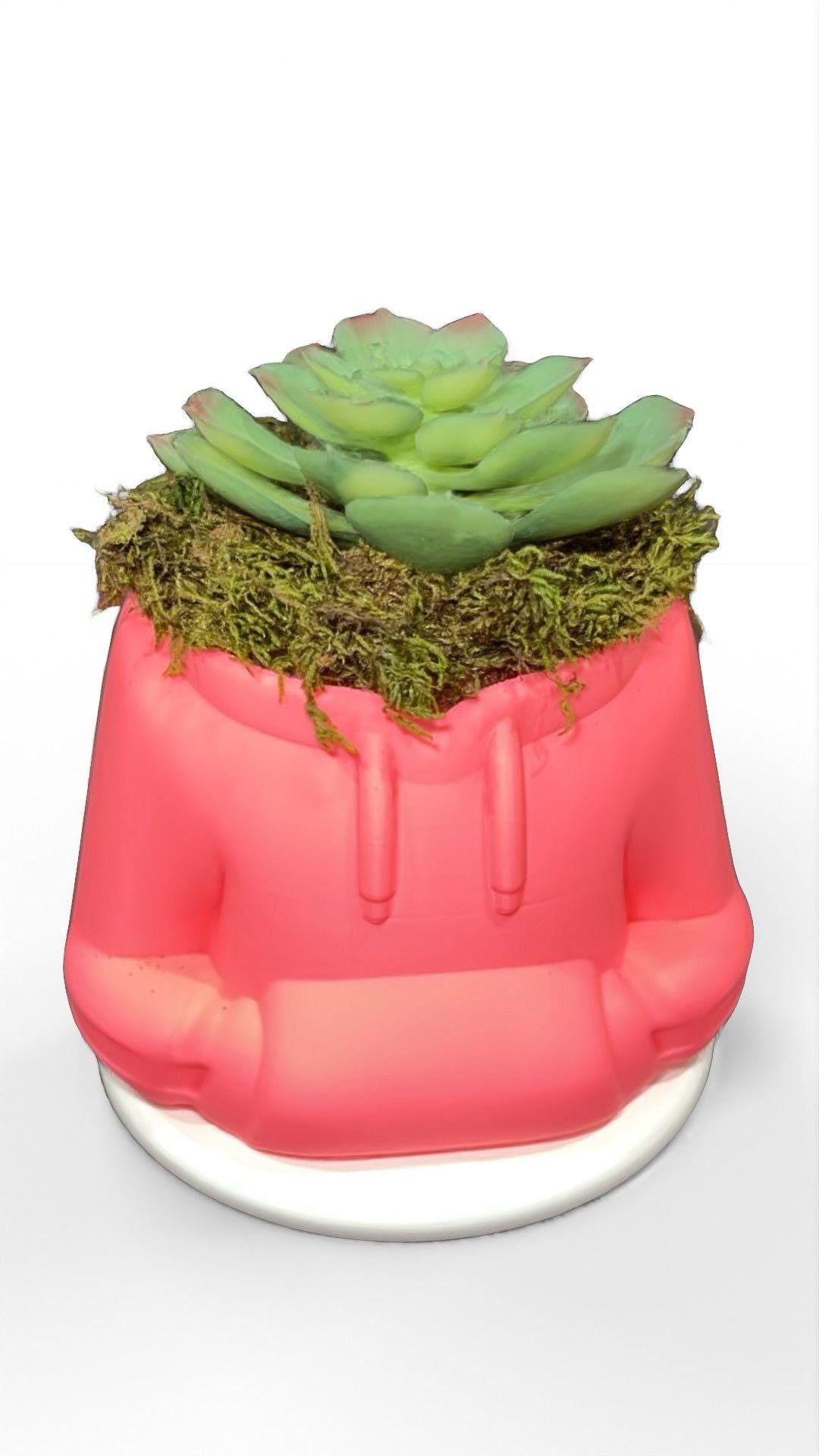 HoodieBloom planter HoodieBloom planter