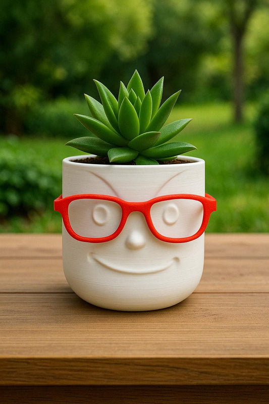 Decorative Planter with Glasses | 3D Printed Face Planter | 4x4x4 in | Fun Gift for Office or Home
