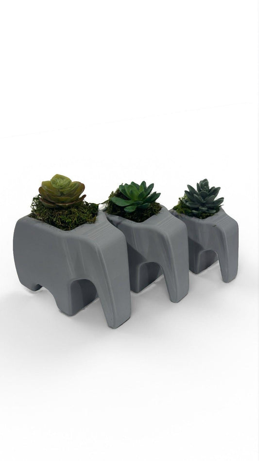Elephant Planter Trio – Modern Jungle Decor