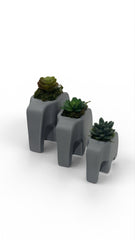 Elephant Planter Trio – Modern Jungle Decor