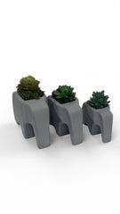 Elephant Planter Trio – Modern Jungle Decor