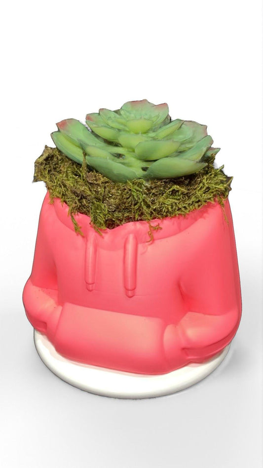 HoodieBloom planter