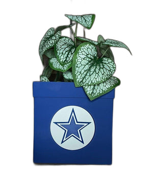 New Exclusive Planter