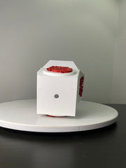 Dragon Planter for Home, Office, Living Room, Kitchen