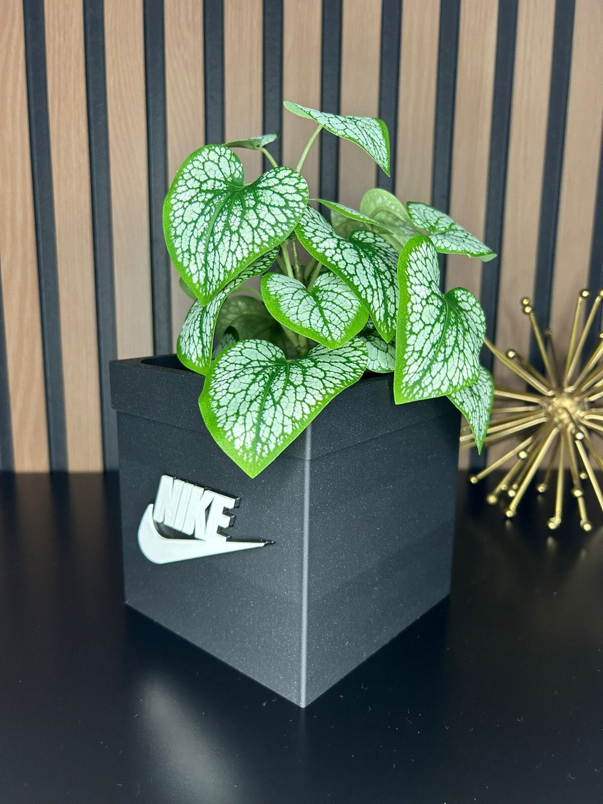 Box Planter Pot 3D  for Indoor Plants -  planter for indoor with Drainage hole