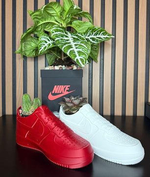 Exclusive Edition Decorative 2 Shoes plus Planter Pot