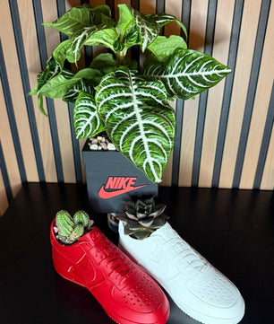 Exclusive Edition Decorative 2 Shoes plus Planter Pot