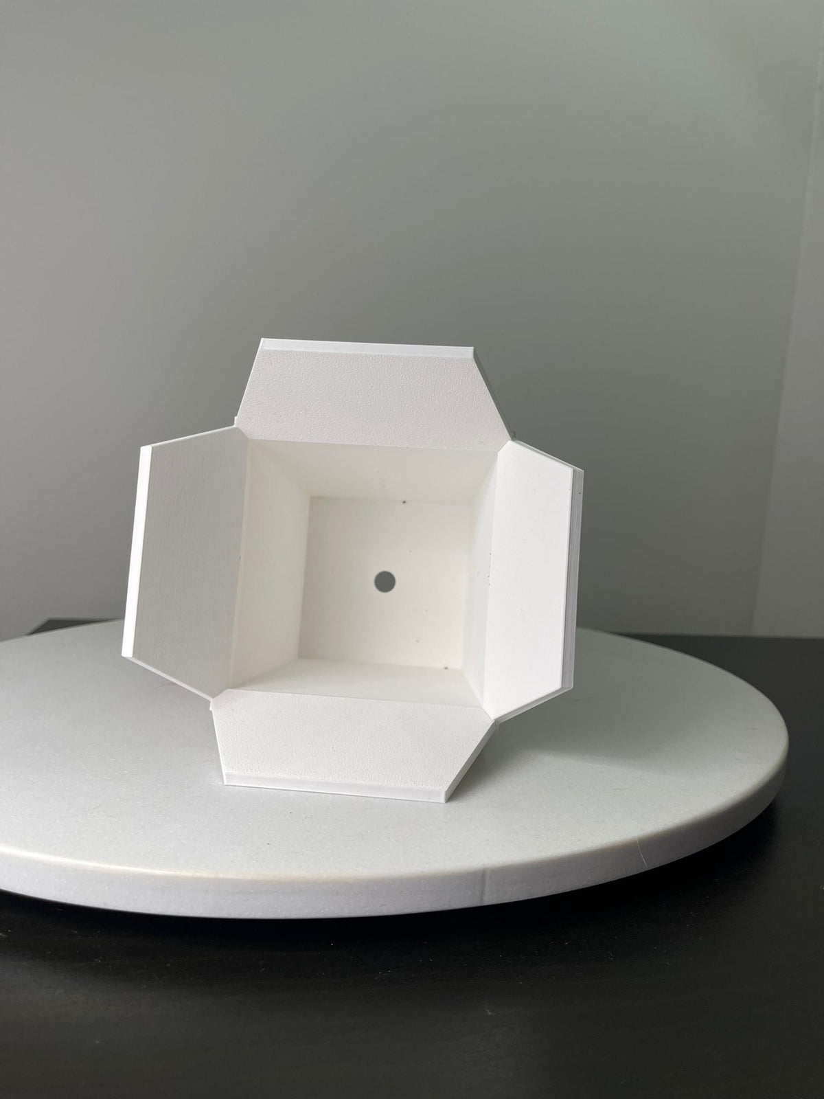 Dragon Planter for Home, Office, Living Room, Kitchen