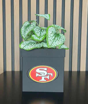 Planter with Style: The Perfect Combination