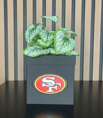 Planter with Style: The Perfect Combination