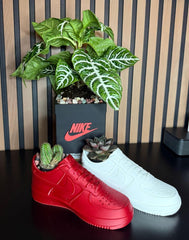 Exclusive Edition Decorative 2 Shoes plus Planter Pot
