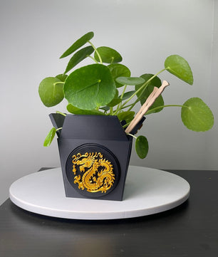 Dragon Planter for Home, Office, Living Room, Kitchen