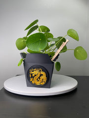 Dragon Planter for Home, Office, Living Room, Kitchen