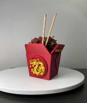 Dragon Planter for Home, Office, Living Room, Kitchen