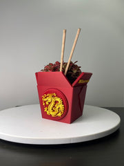 Dragon Planter for Home, Office, Living Room, Kitchen