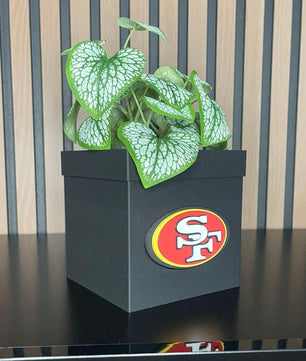 Planter with Style: The Perfect Combination