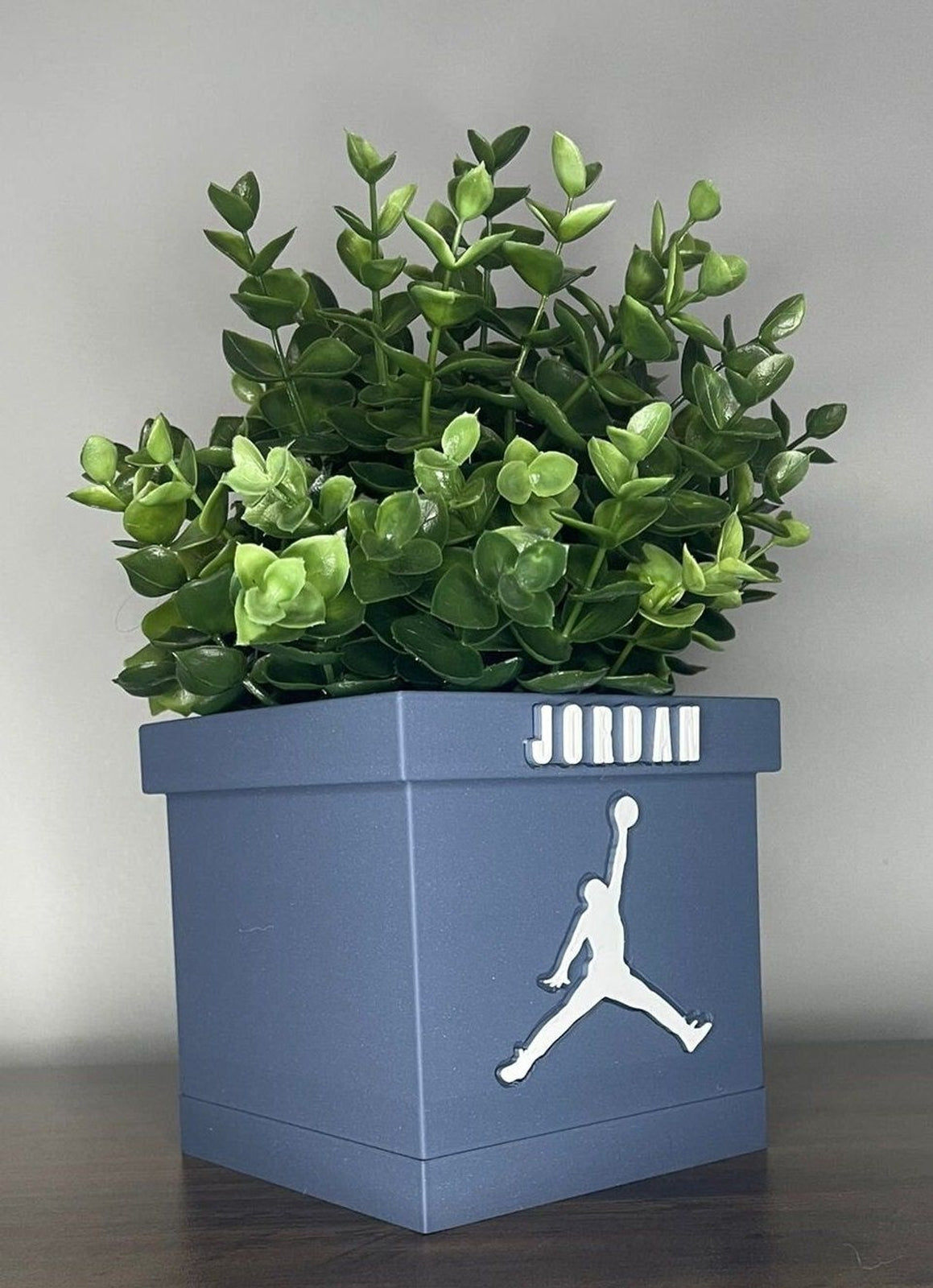Decorative pot inspired by Air Jordan
