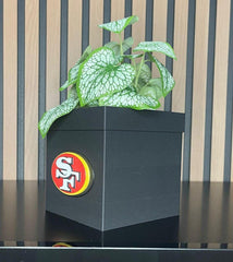 Planter with Style: The Perfect Combination