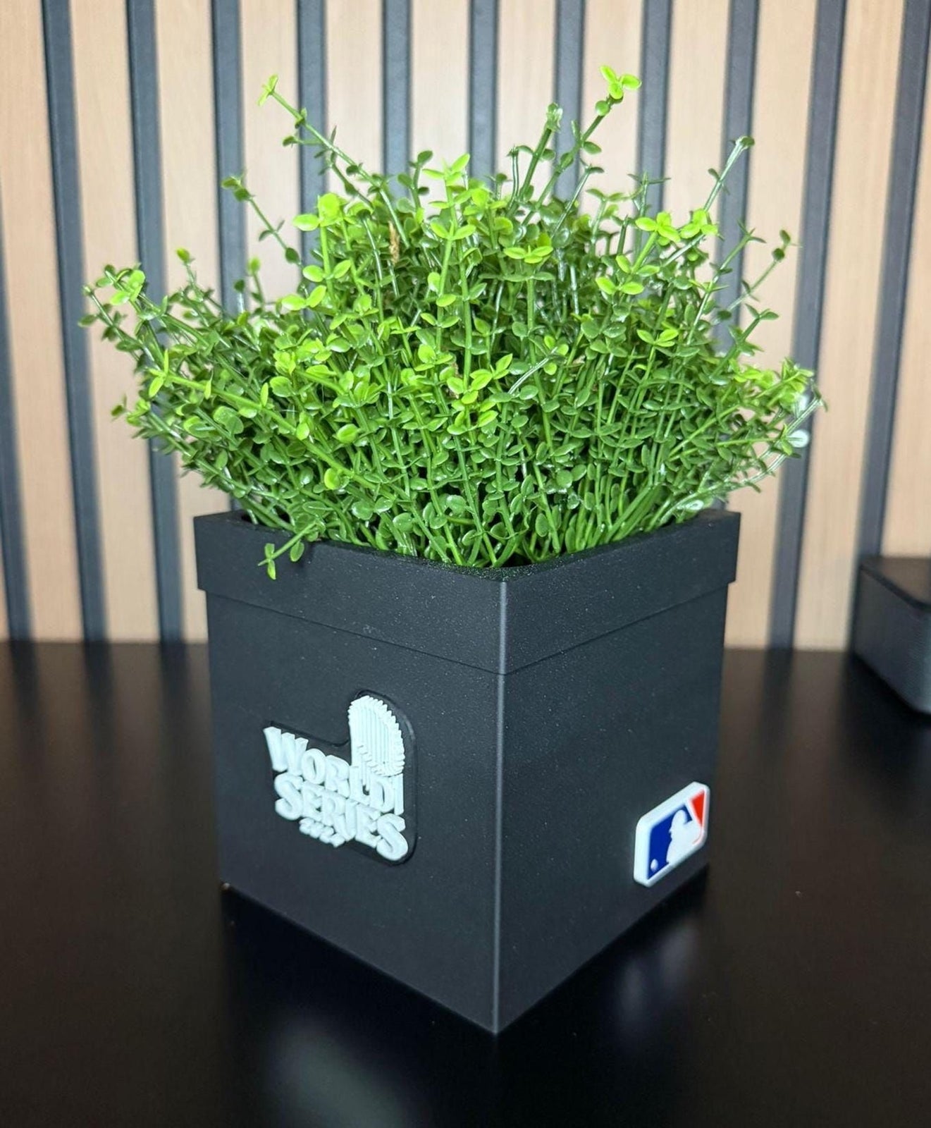 Personalized Decorative Planter with 3D Drainage