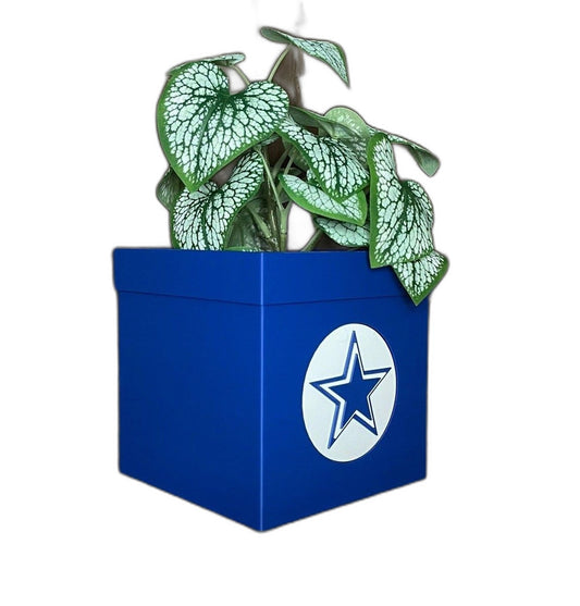 New Exclusive Planter