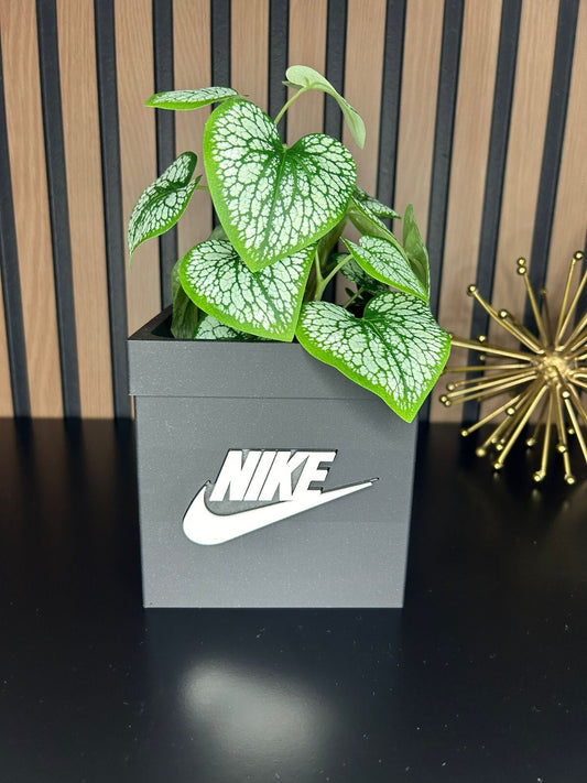 Box Planter Pot 3D  for Indoor Plants -  planter for indoor with Drainage hole