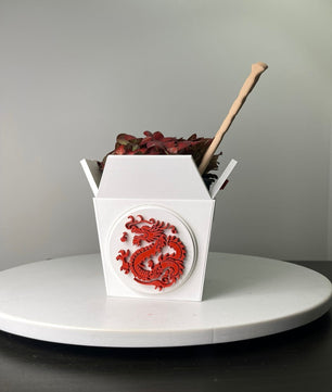 Dragon Planter for Home, Office, Living Room, Kitchen