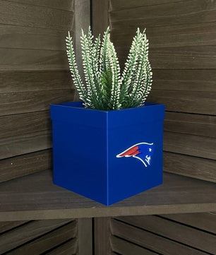 Decorative Planter with Sports Team Design