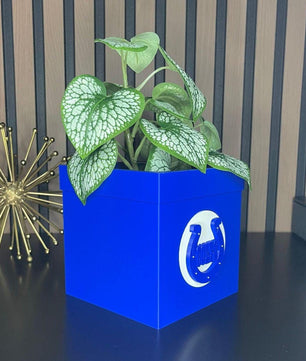 3D Decorative Pot in PLA with Drainage - Blue Design