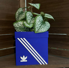 3D Printed Planter with Sporty Style - Adidas Design