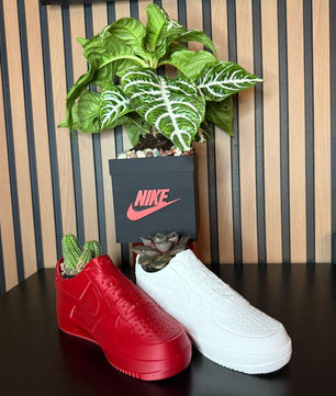 Exclusive Edition Decorative 2 Shoes plus Planter Pot