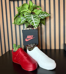 Exclusive Edition Decorative 2 Shoes plus Planter Pot