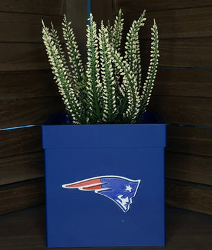 Decorative Planter with Sports Team Design