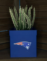 Decorative Planter with Sports Team Design