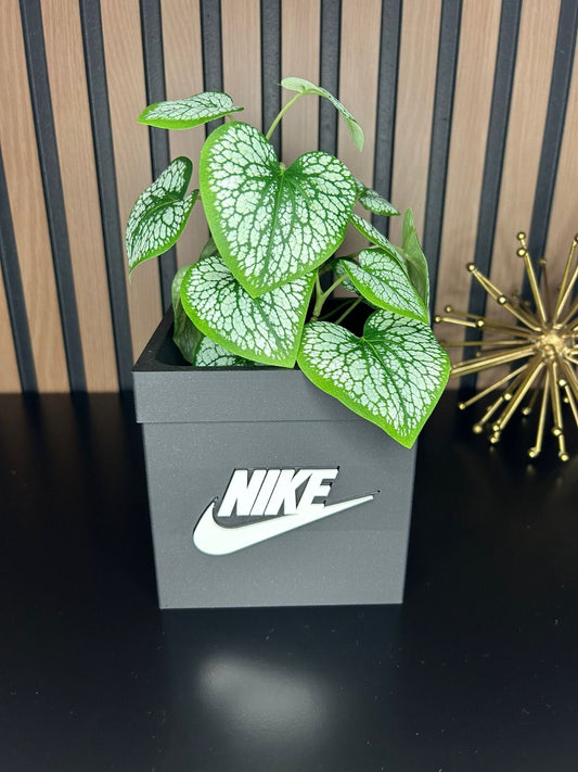 Box Planter Pot 3D  for Indoor Plants -  planter for indoor with Drainage hole