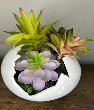 Succulent Arrangement in Cracked Egg Planter – Modern and Elegant Style