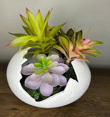 Succulent Arrangement in Cracked Egg Planter – Modern and Elegant Style
