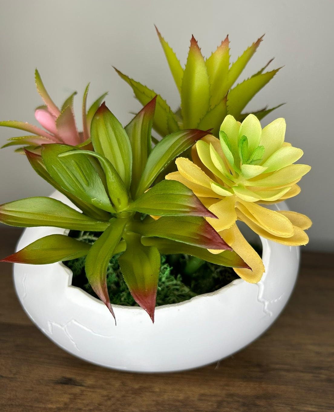 Succulent Arrangement in Cracked Egg Planter – Modern and Elegant Style