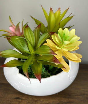 Succulent Arrangement in Cracked Egg Planter – Modern and Elegant Style