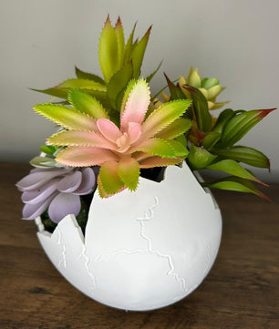 Succulent Arrangement in Cracked Egg Planter – Modern and Elegant Style