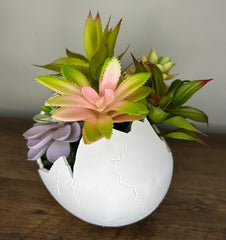 Succulent Arrangement in Cracked Egg Planter – Modern and Elegant Style