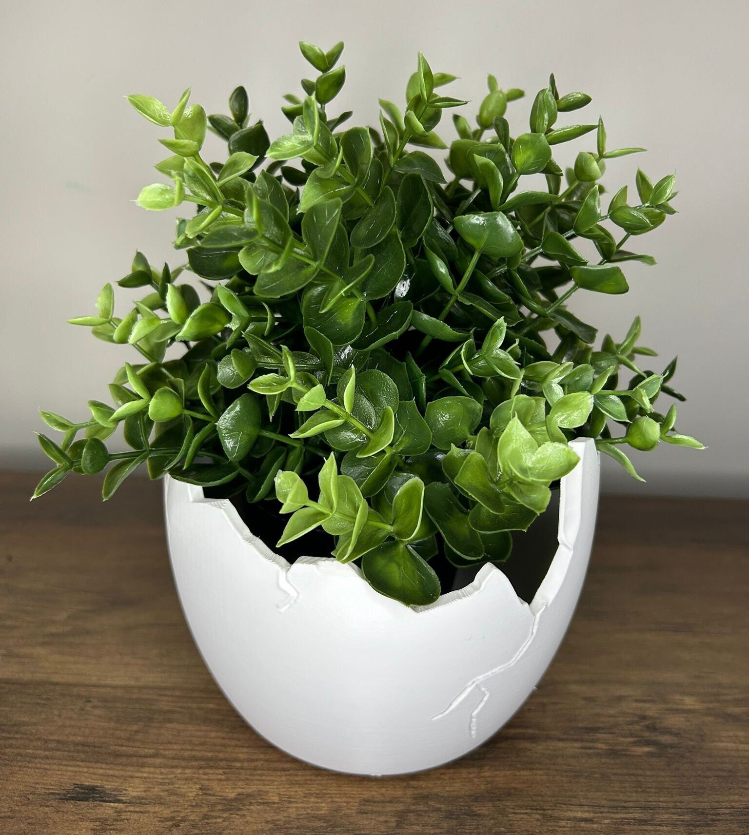 Succulent Arrangement in Cracked Egg Planter – Modern and Elegant Style