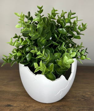Succulent Arrangement in Cracked Egg Planter – Modern and Elegant Style